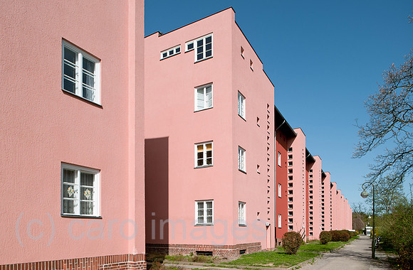 0CE110410D002CAROE.JPG