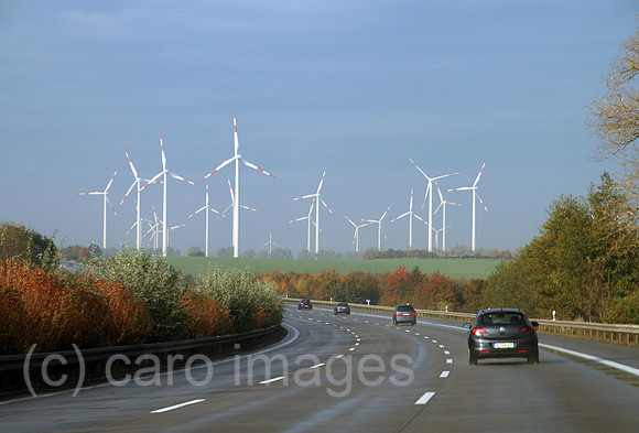 00S111030D802CARO.JPG