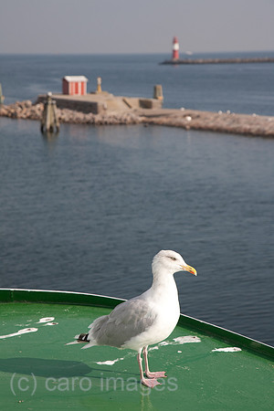 00F100924D001CARO.JPG