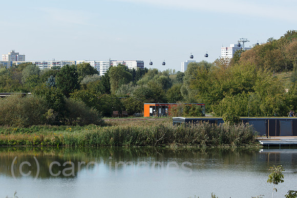 00F160922D091CAROEX.JPG
