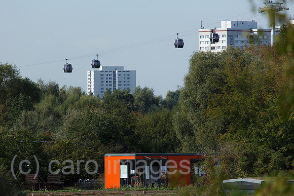00F160922D077CAROEX.JPG