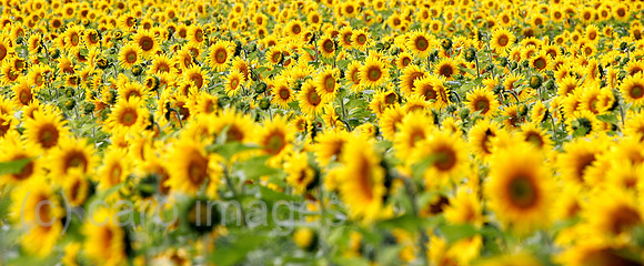 0FB050802D012CAROE.JPG