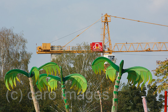 00F160923D386CAROEX.JPG