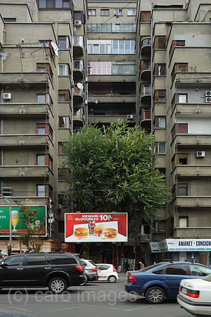 00P121008D179CARO.JPG