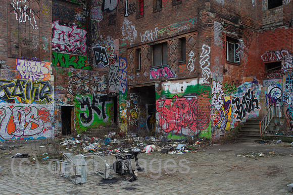 00P121229D071CARO.JPG