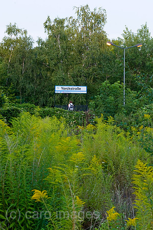 0CE090730D001CARO.JPG
