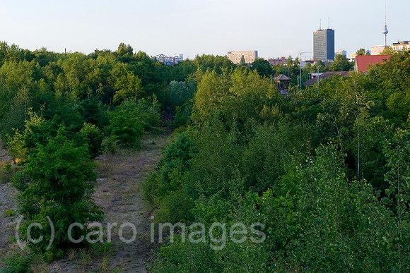 0CE090730D002CARO.JPG