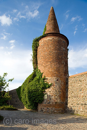 0CE100529D042CAROE.JPG