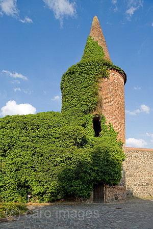 0CE100529D044CAROE.JPG