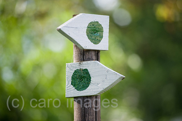 0CE100903D018CAROE.JPG