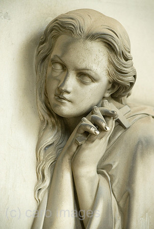0CE100723D006CAROE.JPG