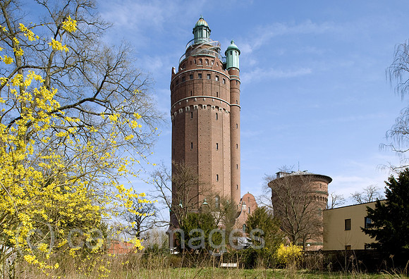 0CE100408D001CAROE.JPG