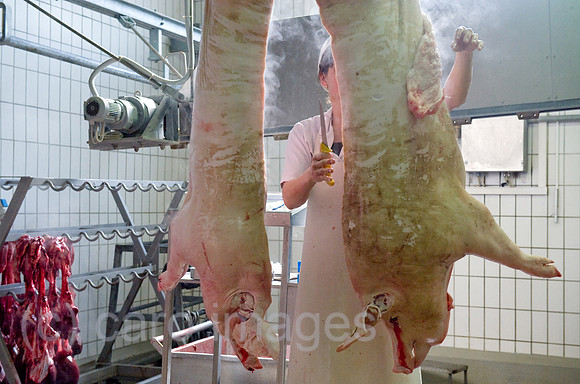 0CE100412D035CAROE.JPG