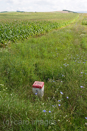 0CE100809D015CAROE.JPG