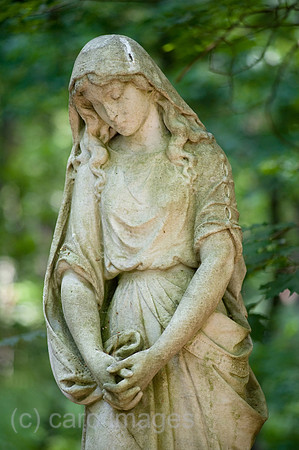 0CE100624D019CAROE.JPG