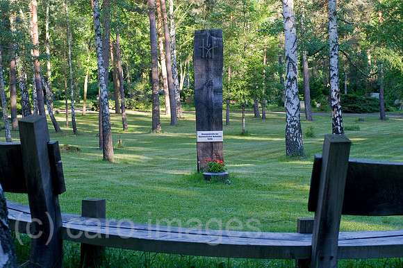 0CE100603D005CAROE.JPG