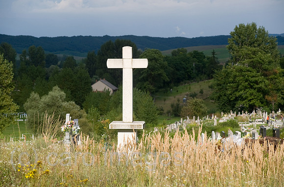 0CE100809D003CAROE.JPG