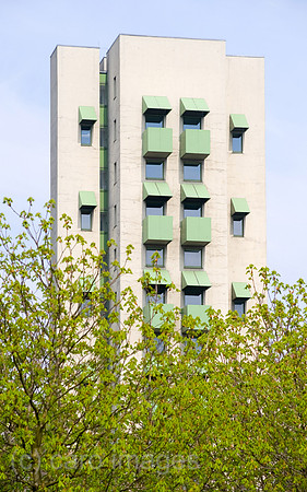 0CE100413D017CAROE.JPG