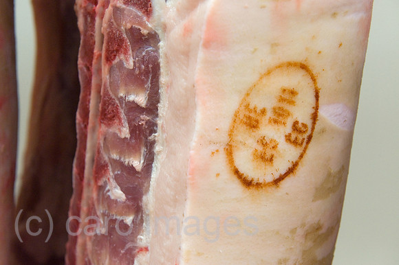 0CE100412D041CAROE.JPG