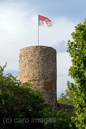0CE100529D038CAROE.JPG