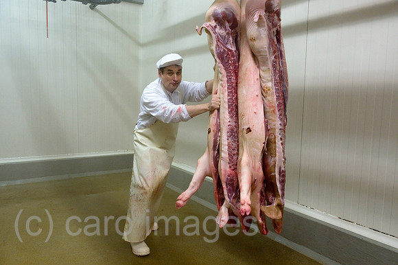 0CE100412D037CAROE.JPG