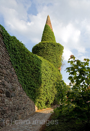 0CE100529D041CAROE.JPG