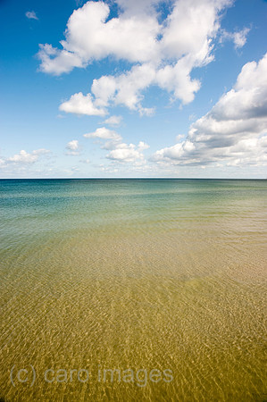 00Y090813D002CARO.JPG