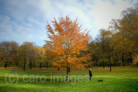 00Y091105D003CARO.JPG