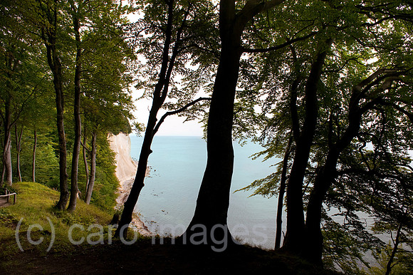 00Y090811D001CARO.JPG