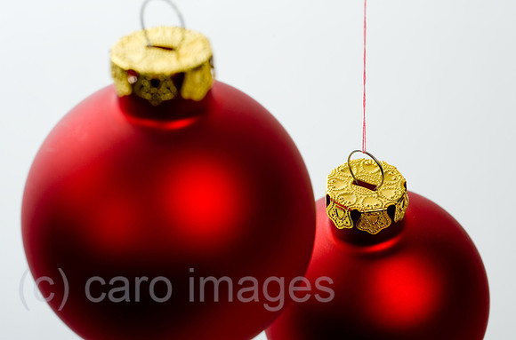 00Y091213D020CARO.JPG