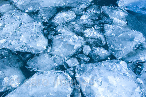 00Y100126D014CARO.JPG