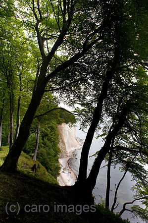 00Y090811D002CARO.JPG