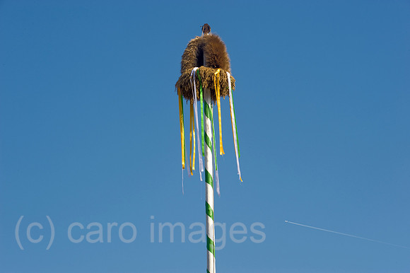 00Y090930D008CARO.JPG