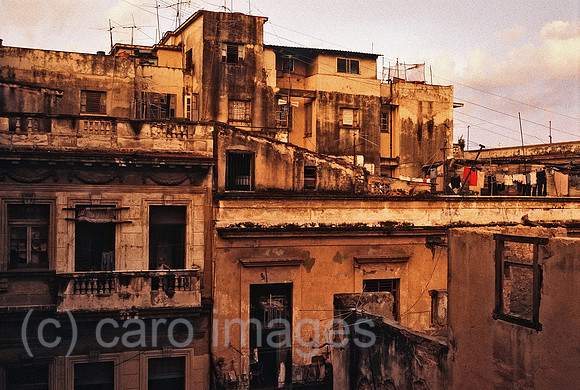 00W001184CARO.JPG