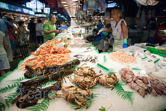 0FR080902D069CAROE.JPG