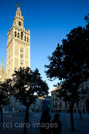 0FR090213D056CAROE.JPG
