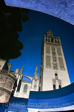 0FR090408D064CAROE.JPG