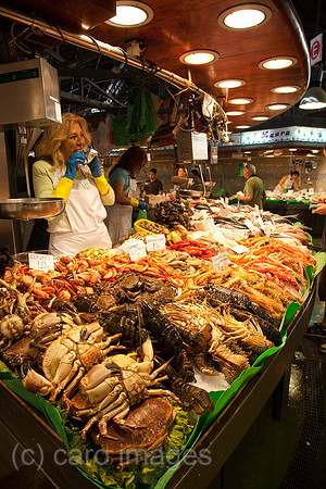 0FR080902D083CAROE.JPG