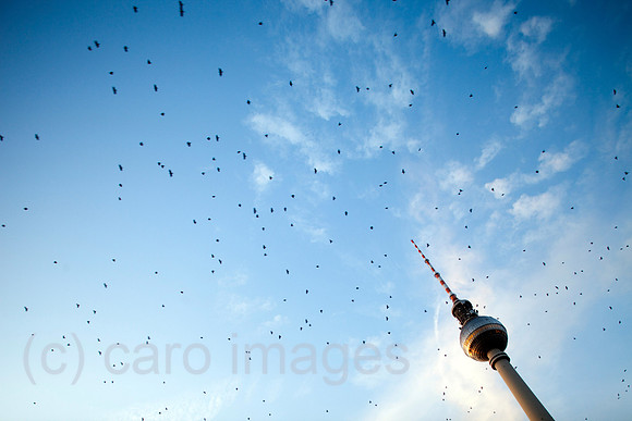 0FR090722D065CAROE.JPG
