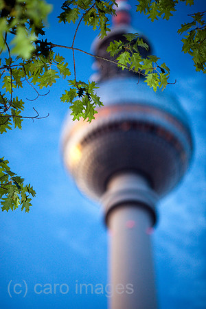 0FR090722D074CAROE.JPG
