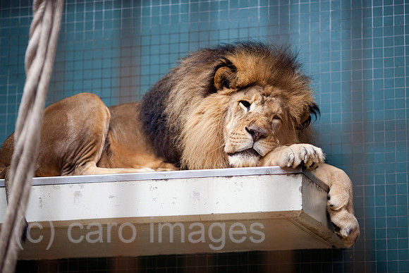 0FR090723D111CAROE.JPG