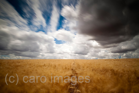 0FR090523D023CAROE.JPG