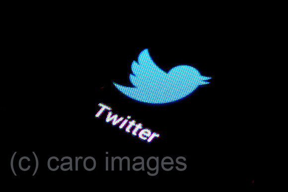0BG131107D013CAROEX.JPG