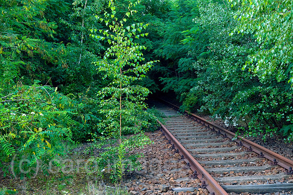 0CE090726D007CAROE.JPG