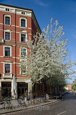 0CE090415D003CAROE.JPG
