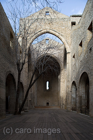 0CE090330D003CAROE.JPG