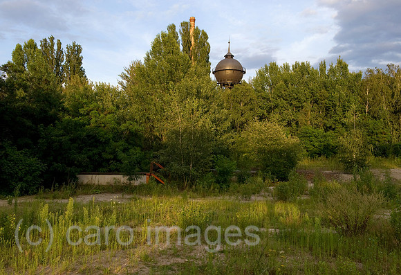 0CE090722D006CAROE.JPG