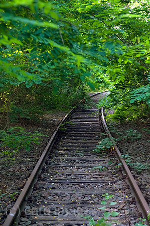 0CE090726D005CAROE.JPG