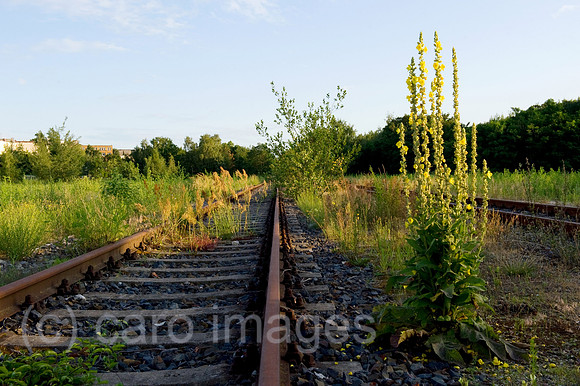 0CE090724D002CAROE.JPG