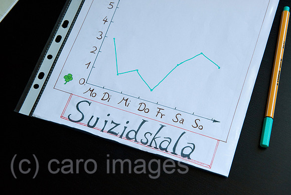 0CE090612D003CAROE.JPG